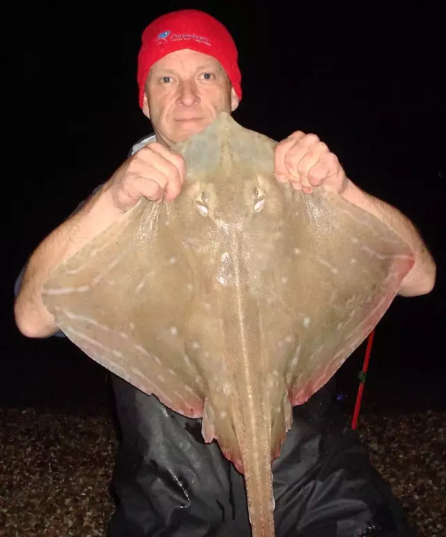 9lb Small Eyed Ray