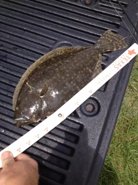 Supper
