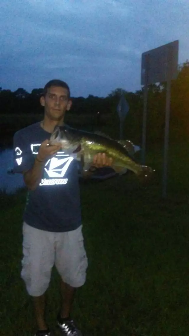 7lber