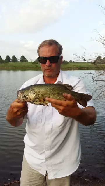Bigmouth Bass again.