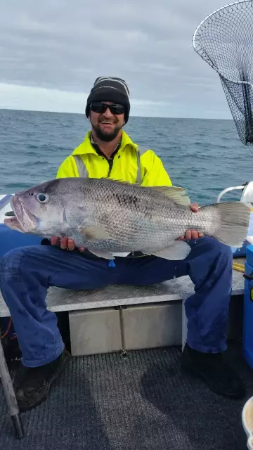 Western Australia Dhu Fish