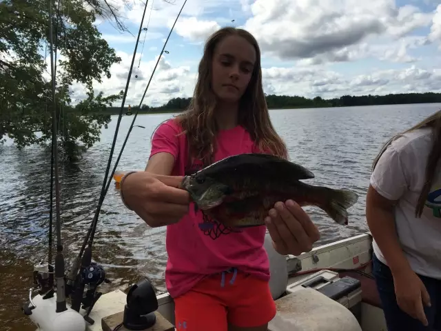 Minnesota Four Seasons Resort Blue Gill