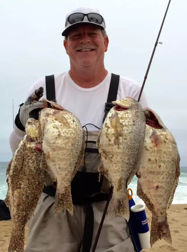 The Cowboy's Slabs