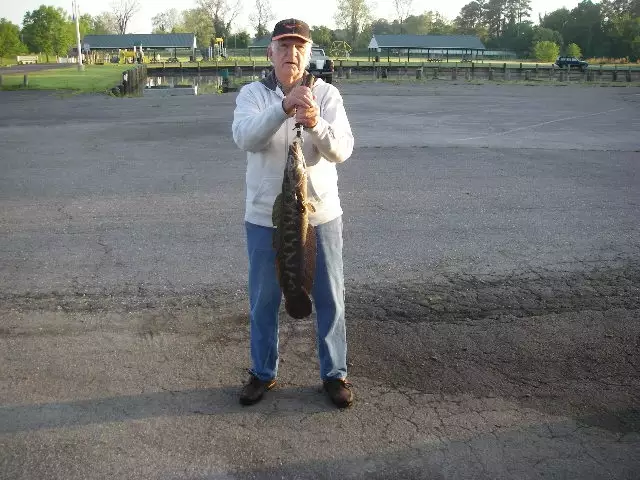 8 Lb. snakehead caught in Marshy Hope Creek in Maryland.