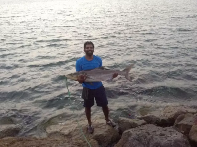Fishing in UAE