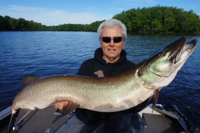 Muskie