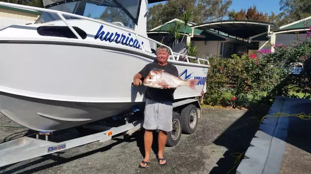 75cm snapper