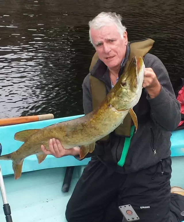 Irish Pike