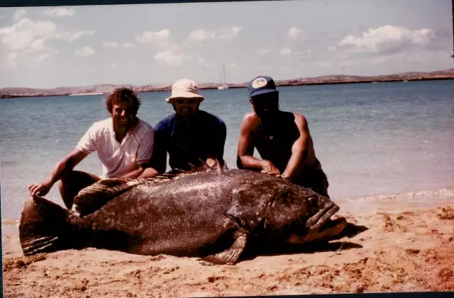 Bobby the Grouper