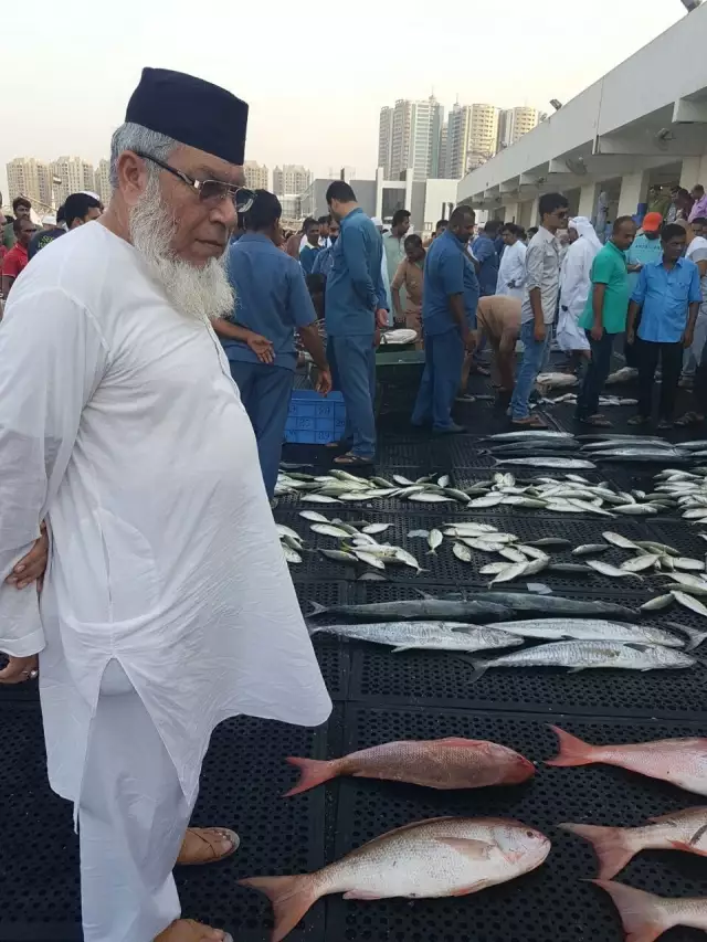 Fresh catches in Ajman, Fish market