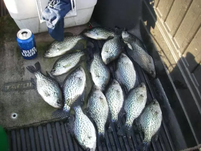 Crappie Fishing 12-14-16