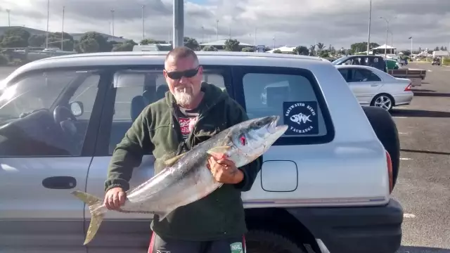 Yellowtail Kingfish