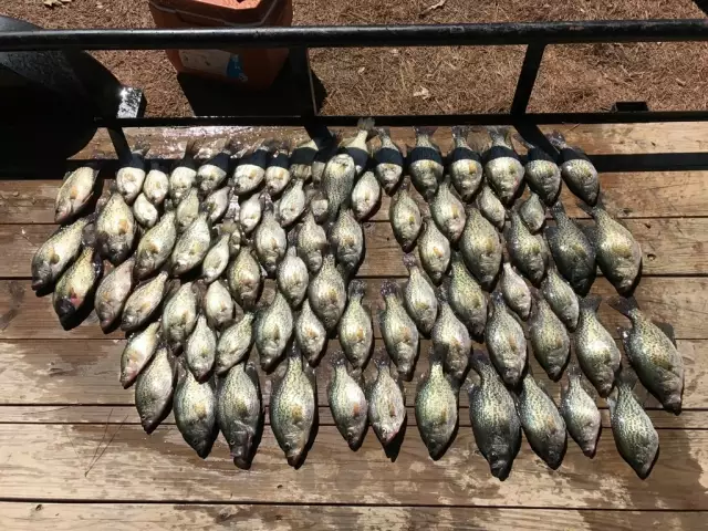 A Good DAy