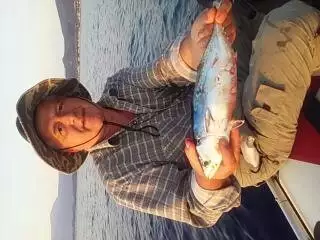 Tuna