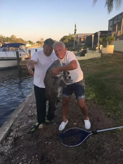 Black Drum 50 lb.  caught by Ted G.