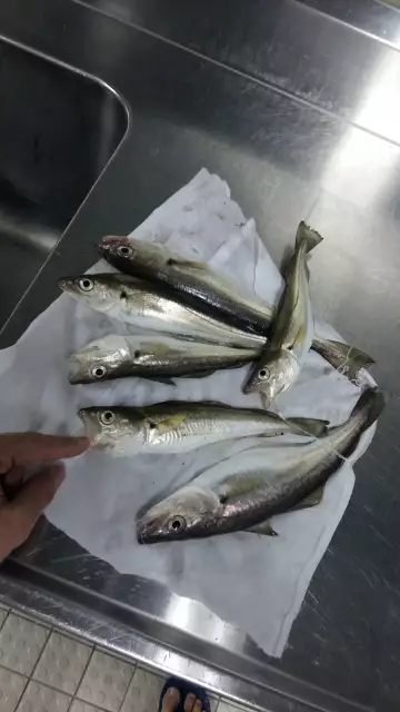 1st try using the fishing reminder's advice.