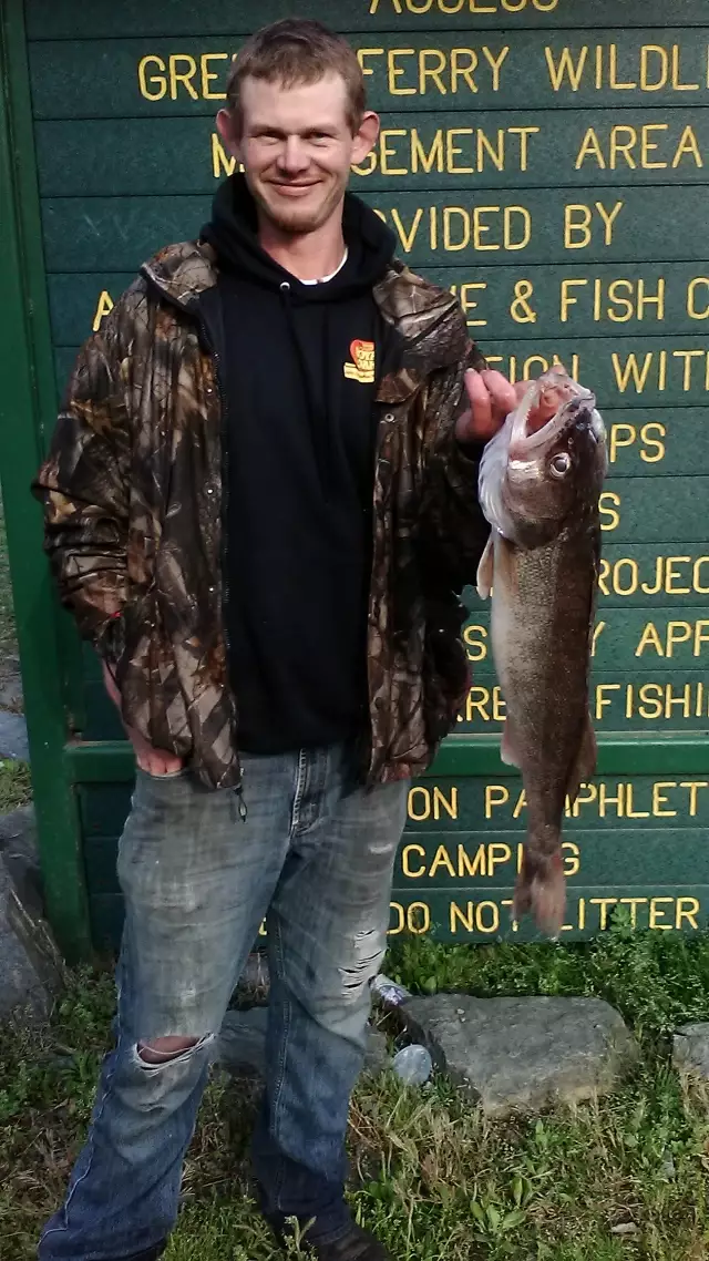 Arkansas walleye
