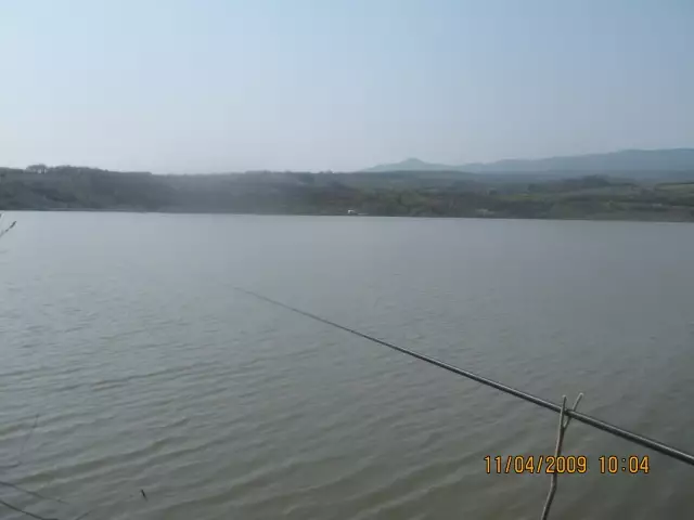 Fishing for whitefish