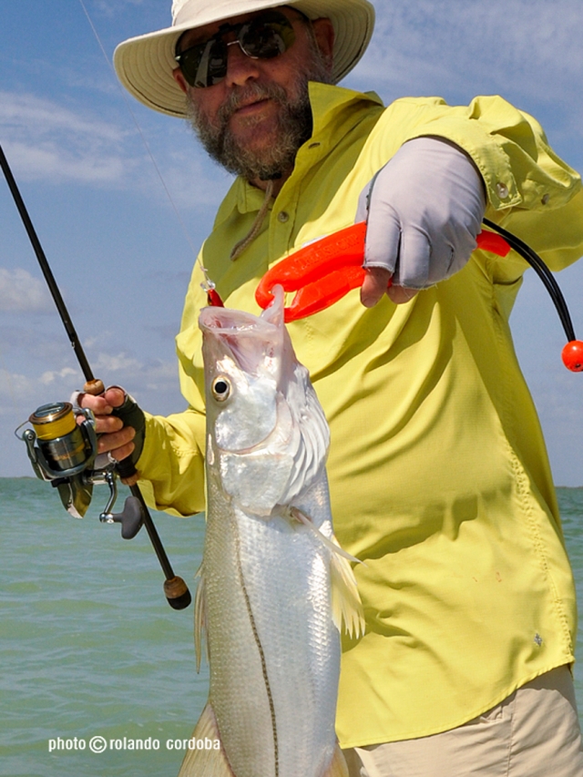 snook with DUO lure Fishing Photo