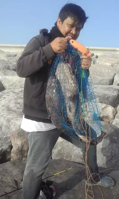 Marina Mall Breakwater Fishing 19May2017