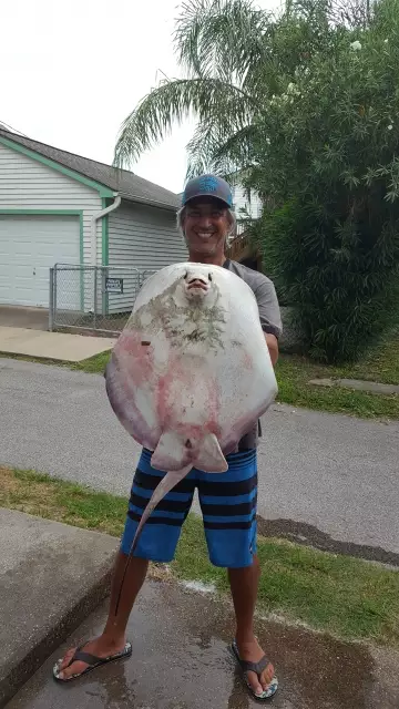 Interesting Catch