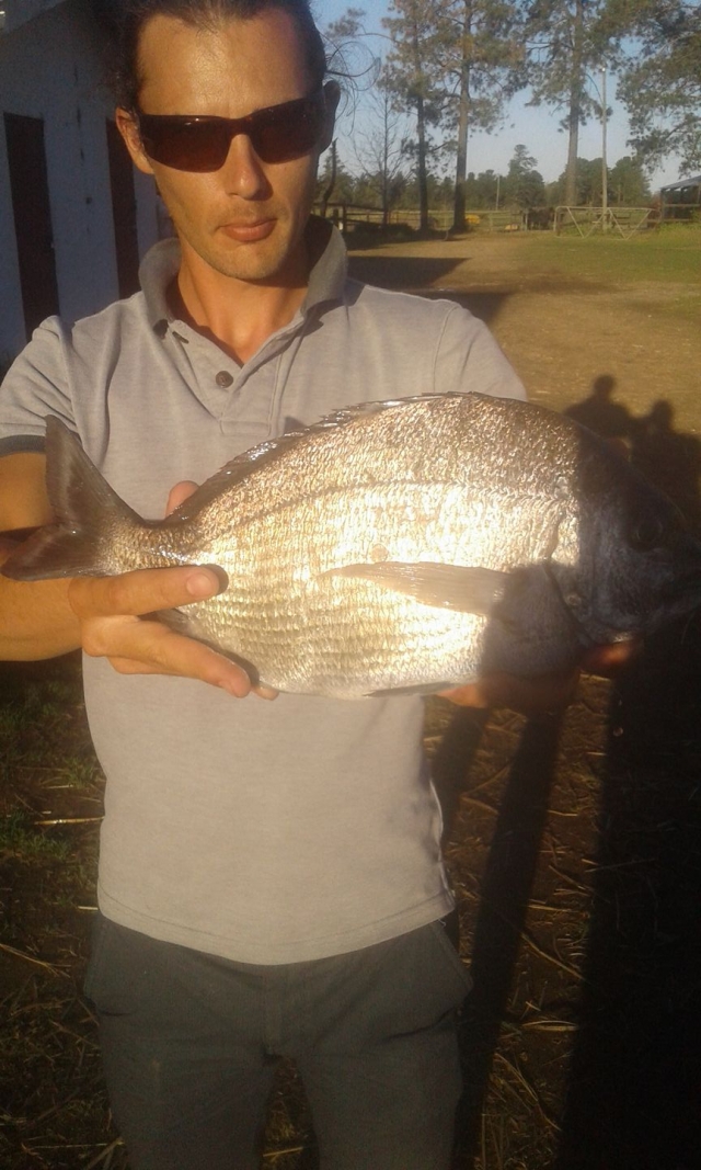 Bronze bream fishing Clearance
