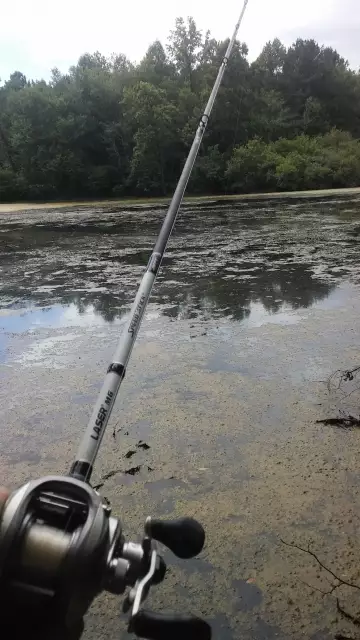 i throw frogs all day