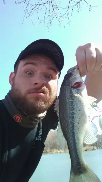 a dink fest day