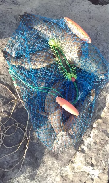 Lulu Fishing Escapade 10Nov2017 | Fishing Photo