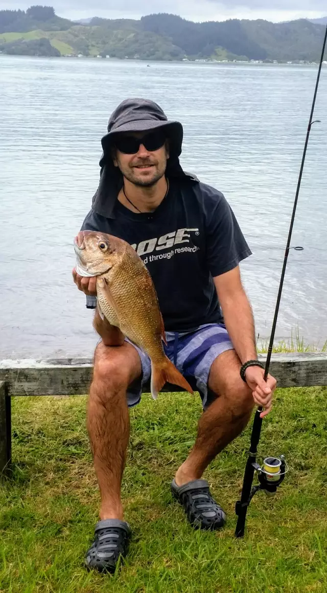 Nice Snapper caught at Puriri Bay New Zealand