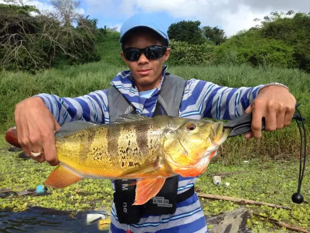 Tucunaré