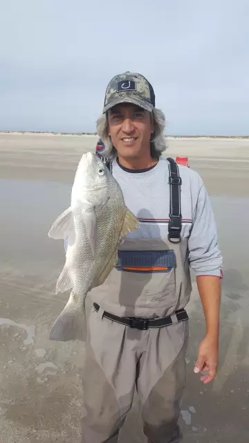 19 in Black Drum