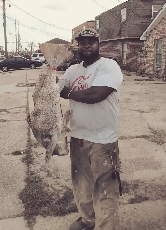 Pontchartrain black drum baby.