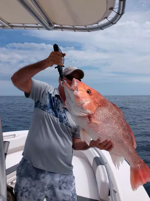 Good day 12 miles off Ponce Inlet Florida