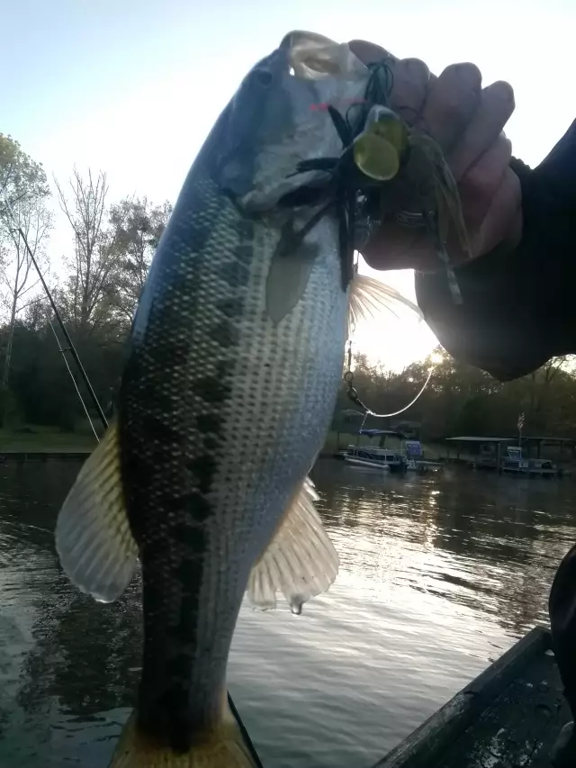 Early morning catch