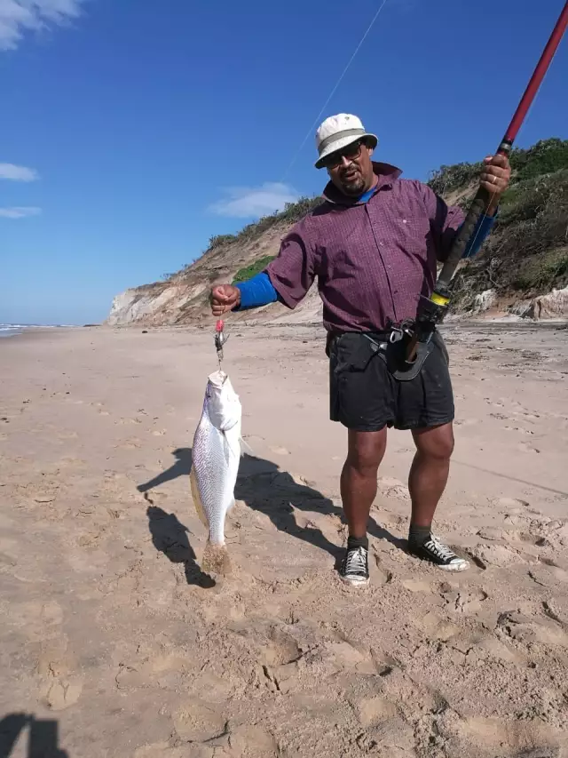 3.5kg Salmon