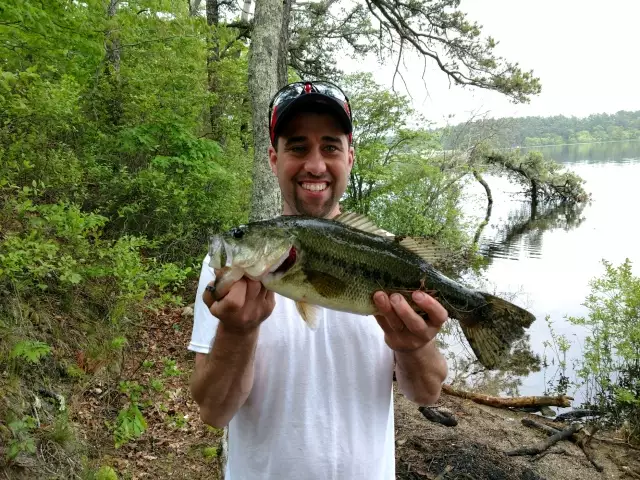 First good size of 2018