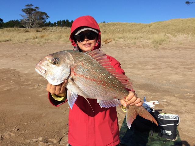 Got ya! Monster snapper off the beach