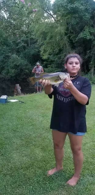 Our pond
