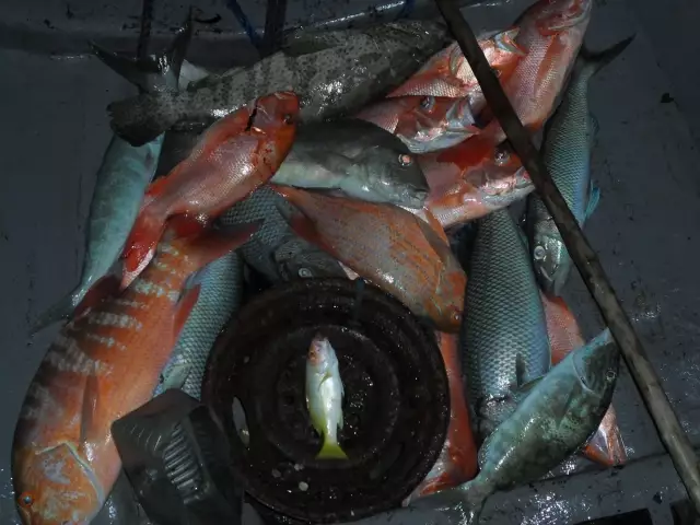 fishing in Kavieng