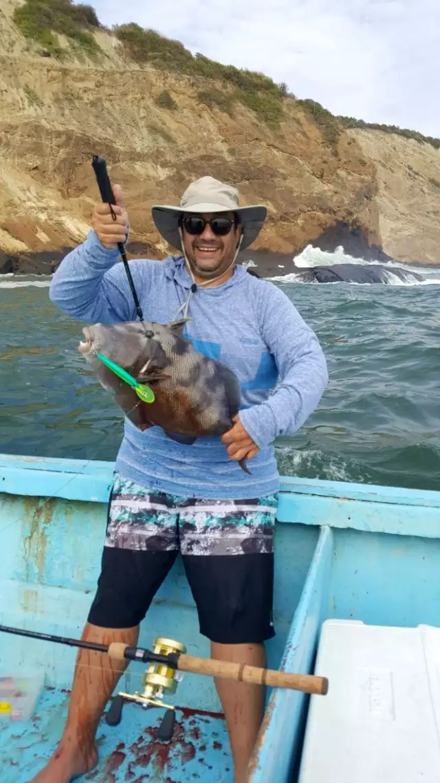 Spearfish or Hog fish