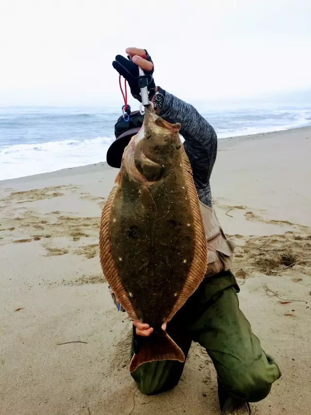 Surf hunting