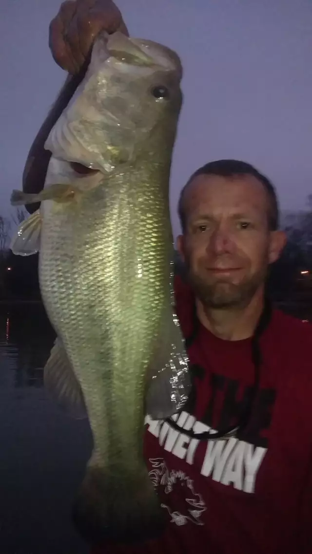 Albino Bass?