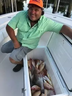 gulf coast