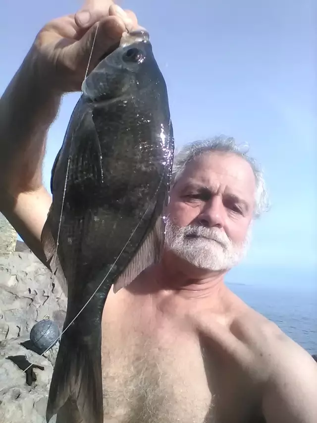 Shore Fishing Ventura, Ca