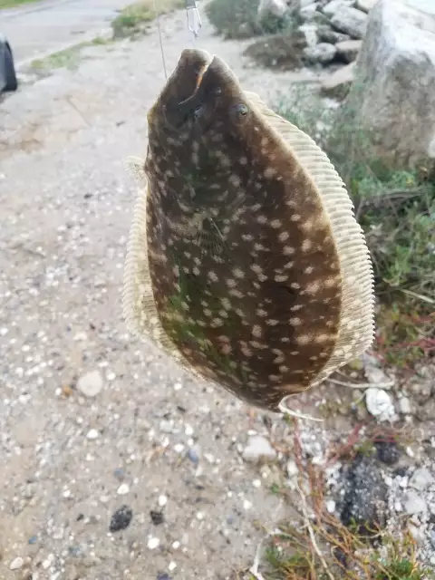 Fishing in the cold in Galveston