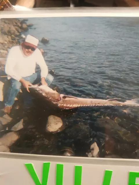 Oversize Sturgeon