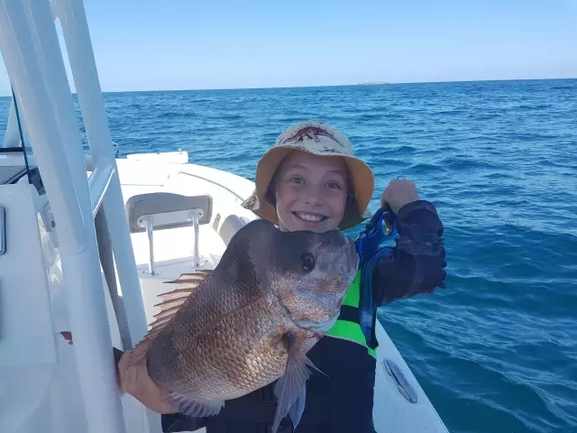 Coffs Harbour Snapper