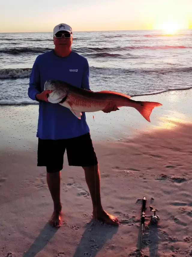 Redfish at Sunset