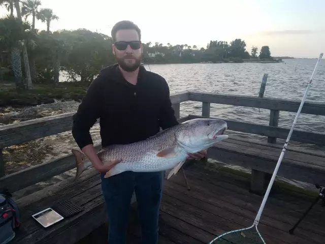 42 inch red. Palm bay fl